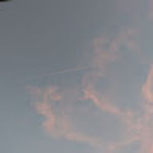 Meet your Posher, Sophia